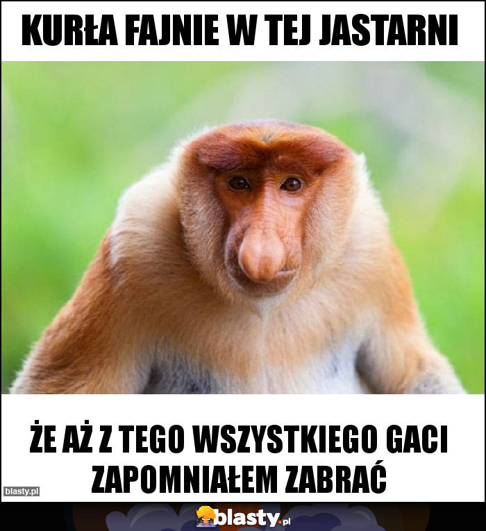 Kurła fajnie w tej Jastarni
