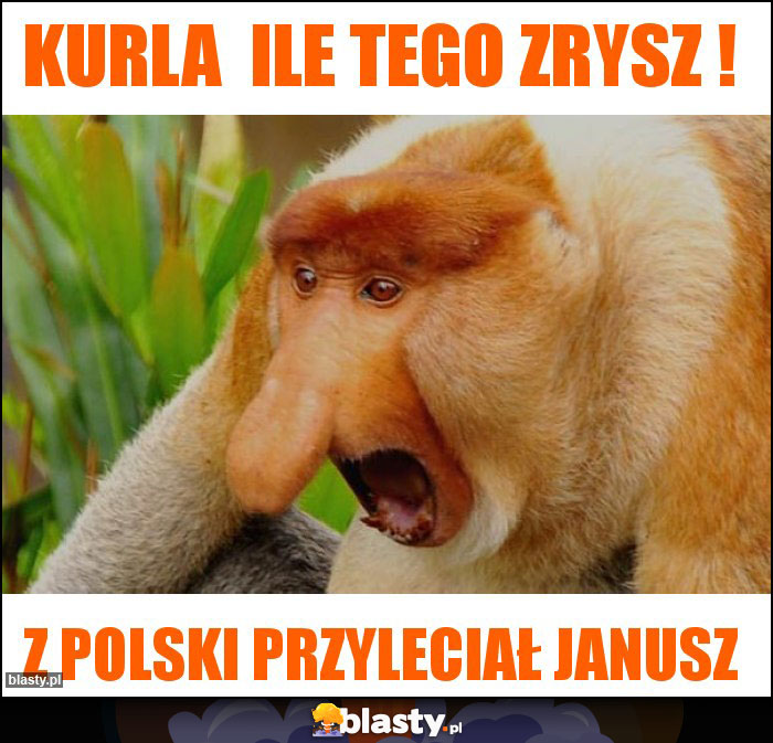 Kurla  ile tego zrysz !