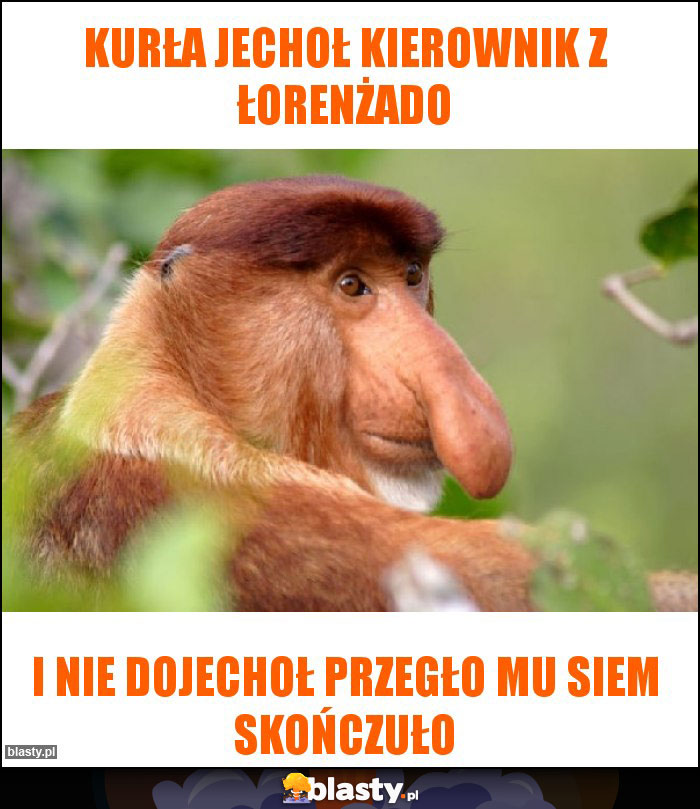 KURŁA JECHOŁ KIEROWNIK Z ŁORENŻADO