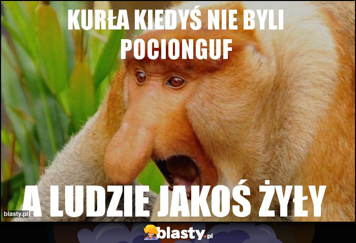 kurła kiedyś nie byli pocionguf