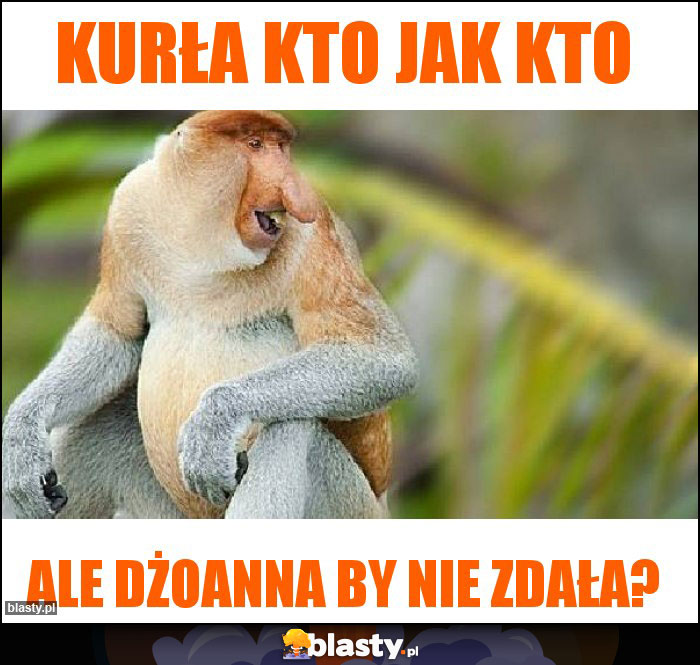Kurła kto jak kto