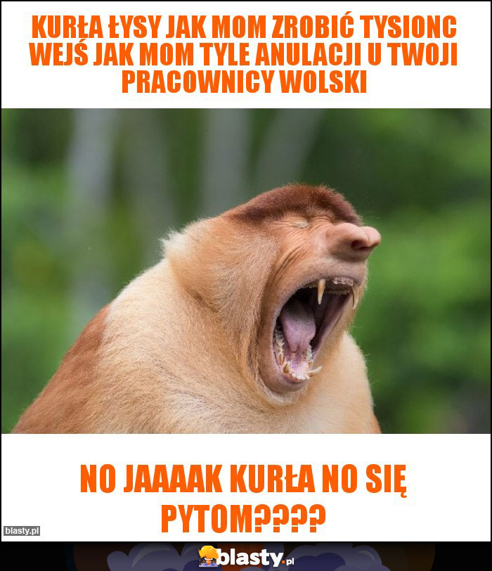 Kurła łysy jak mom zrobić tysionc wejś jak mom tyle anulacji u twoji pracownicy wolski