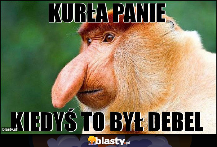 Kurła Panie