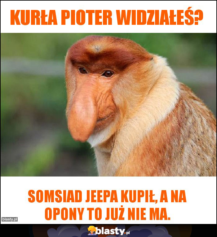 Kurła Pioter widziałeś?