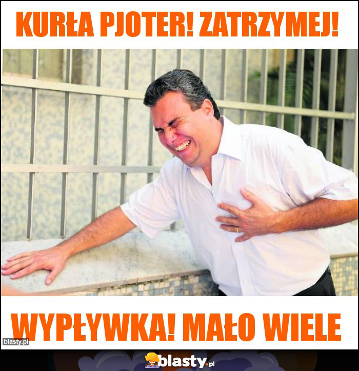 Kurła pjoter! Zatrzymej!