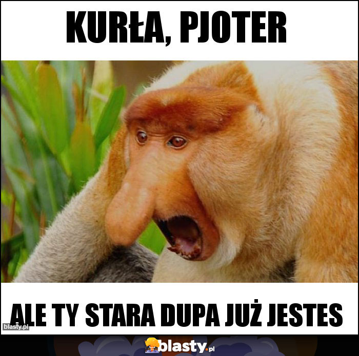 Kurła, pjoter