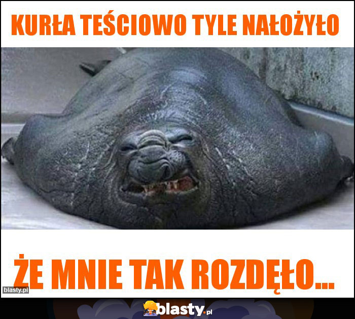 Kurła teściowo tyle nałożyło