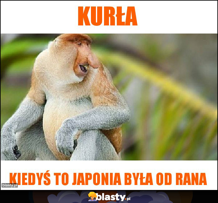 Kurła