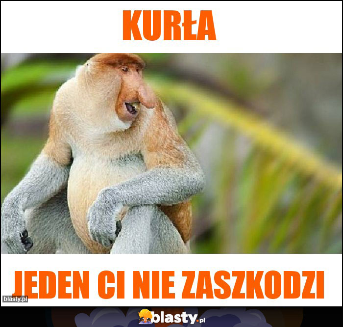 Kurła
