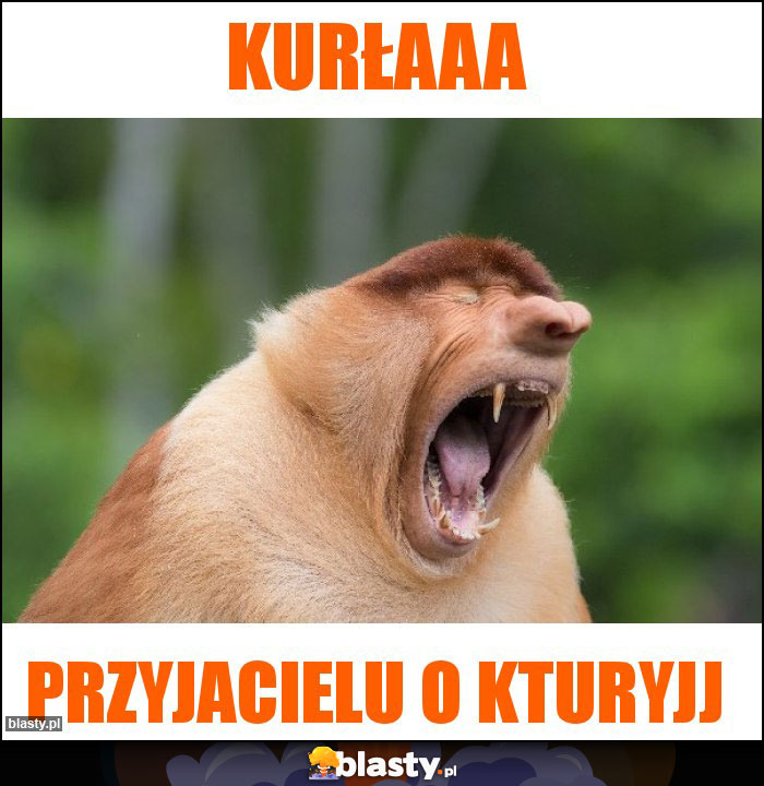 Kurłaaa