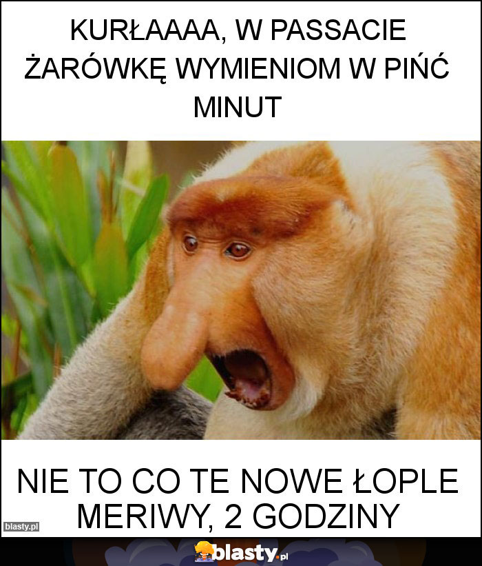 KURŁAAAA, w passacie żarówkę wymieniom w pińć minut