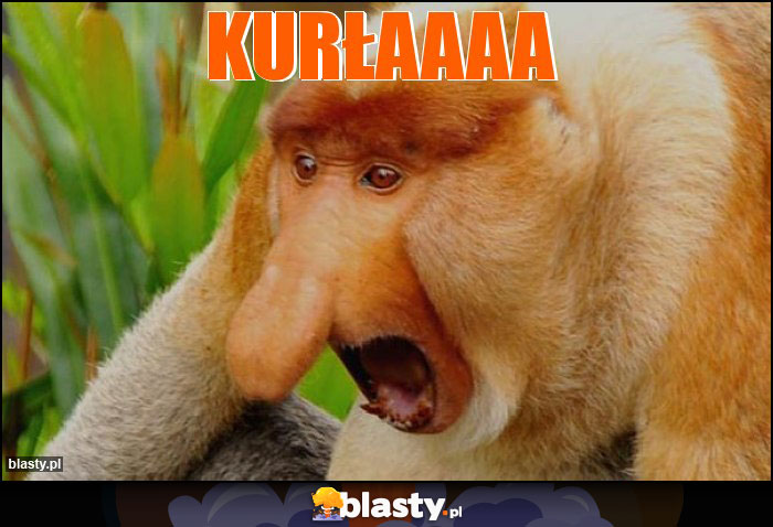 KURŁAAAA