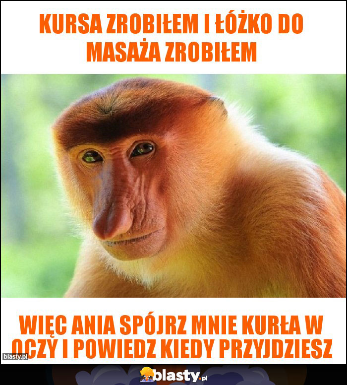 Kursa zrobiłem i łóżko do masaża zrobiłem