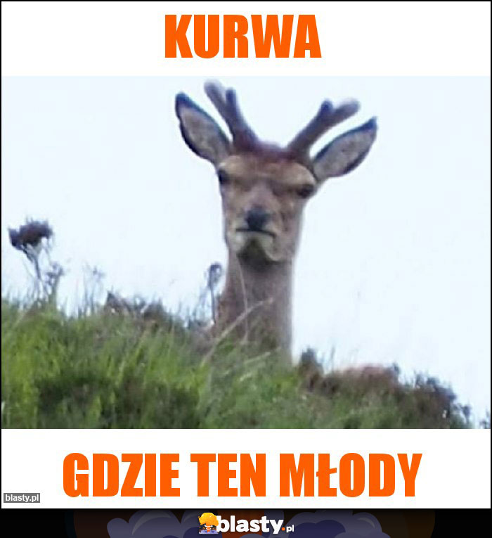 Kurwa