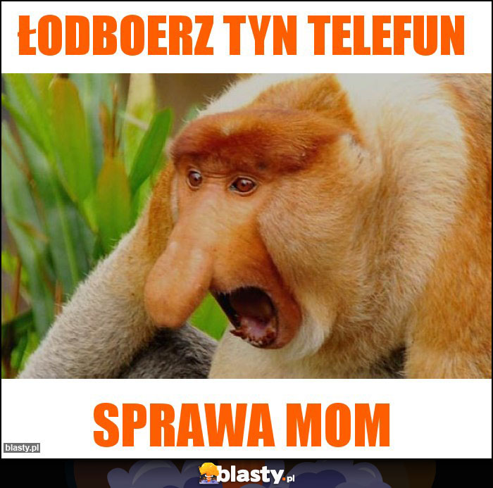 Łodboerz tyn telefun