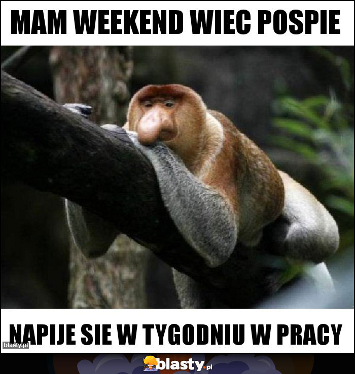mam weekend wiec pospie