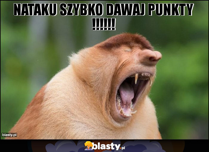 NATAKU SZYBKO DAWAJ PUNKTY !!!!!!