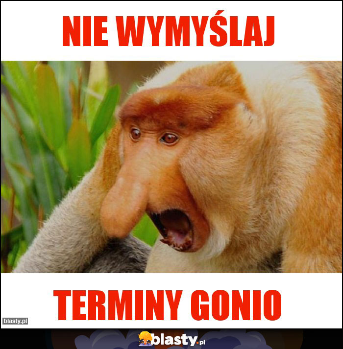Nie wymyślaj