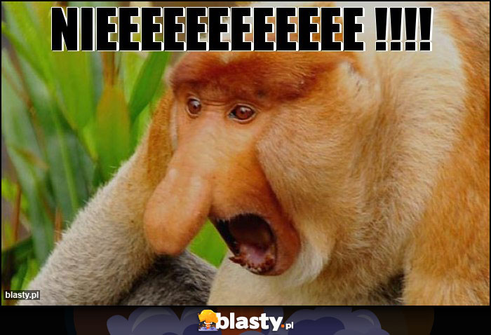 NIEEEEEEEEEEEE !!!!