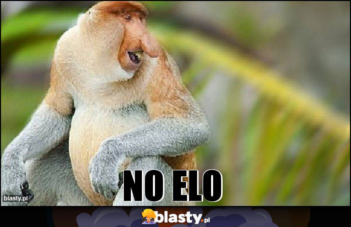 NO ELO