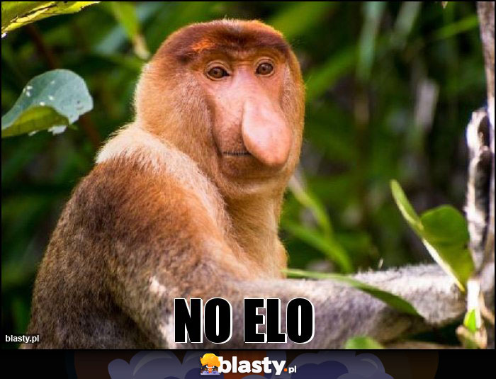 NO ELO