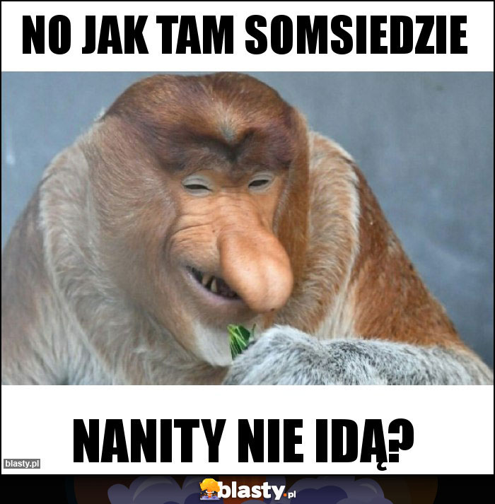 NO JAK TAM SOMSIEDZIE