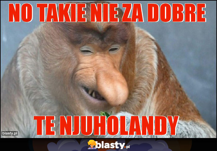 No takie nie za dobre