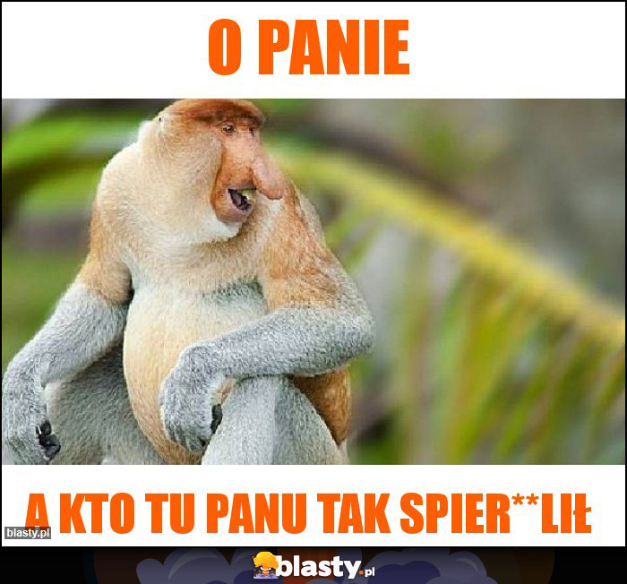 O PANIE