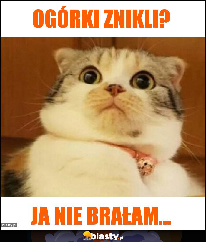 Ogórki znikli?
