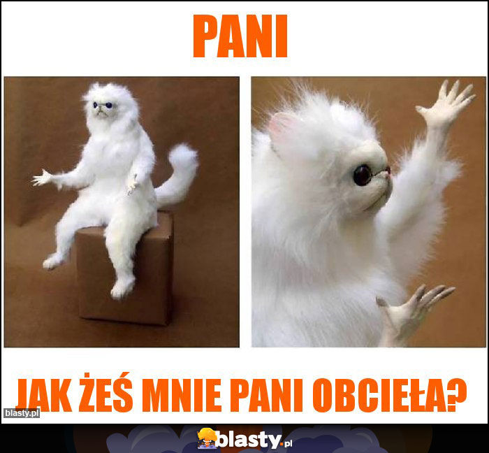 Pani