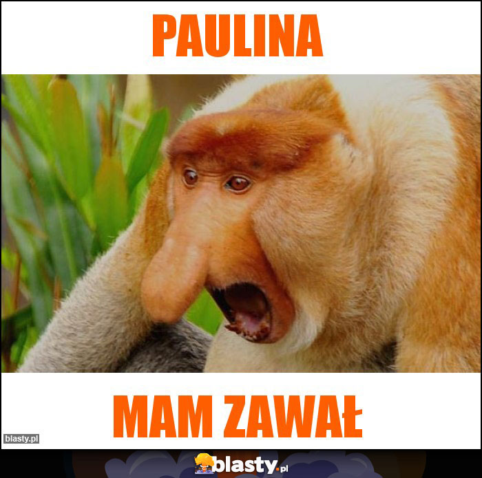 Paulina