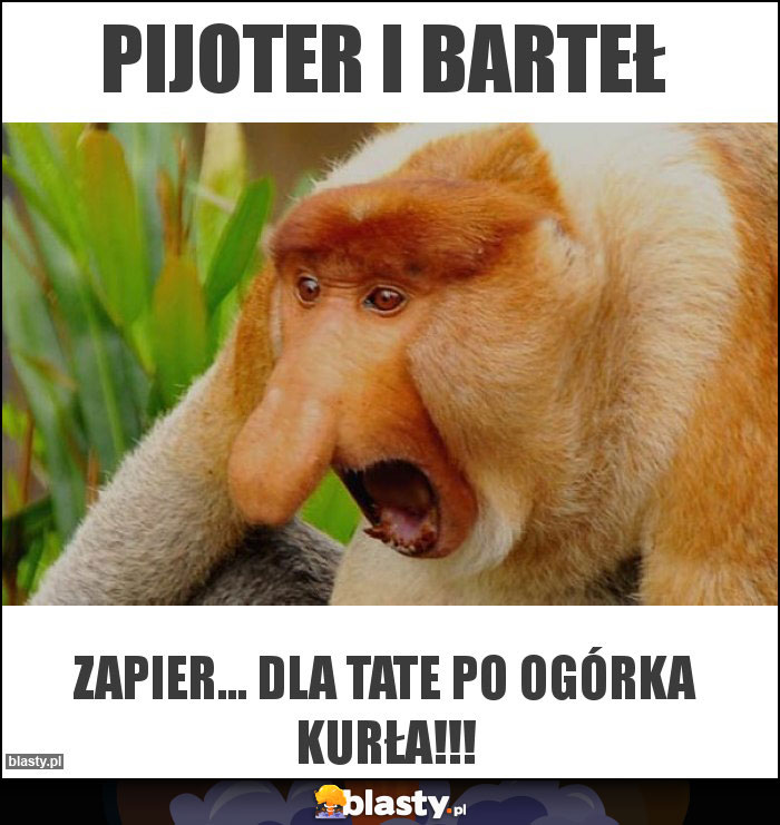Pijoter i barteł