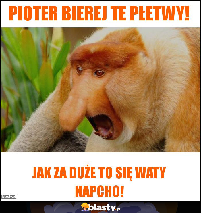 Pioter bierej te płetwy!