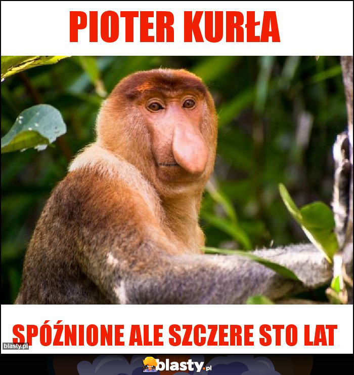 Pioter Kurła