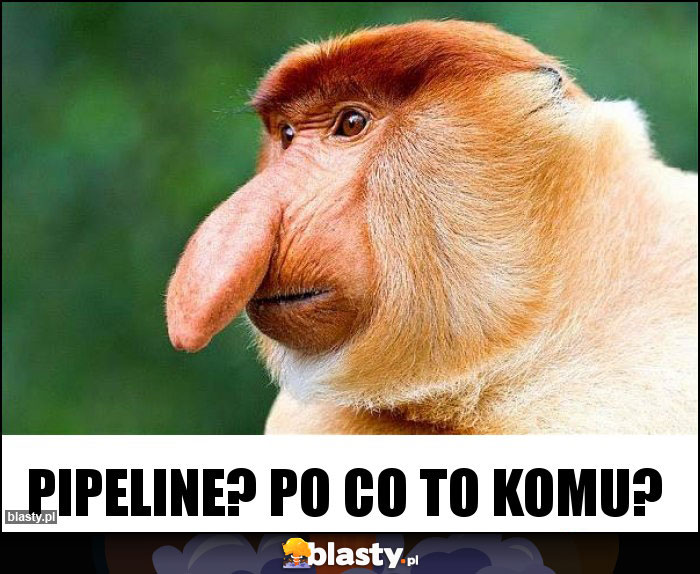 Pipeline? Po co to komu?