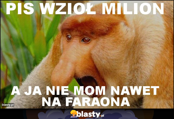 PIS wzioł milion