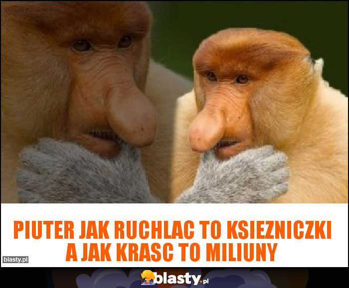 Piuter jak ruchlac to ksiezniczki a jak krasc to miliuny