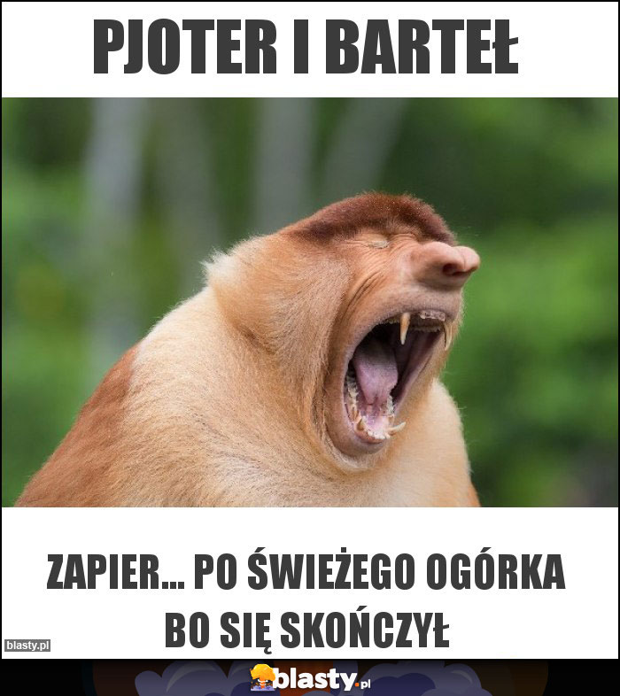 PJOTER i BARTEŁ