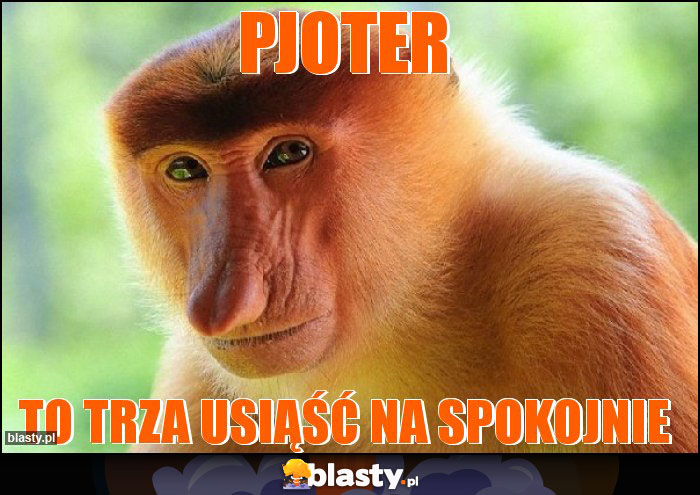 Pjoter