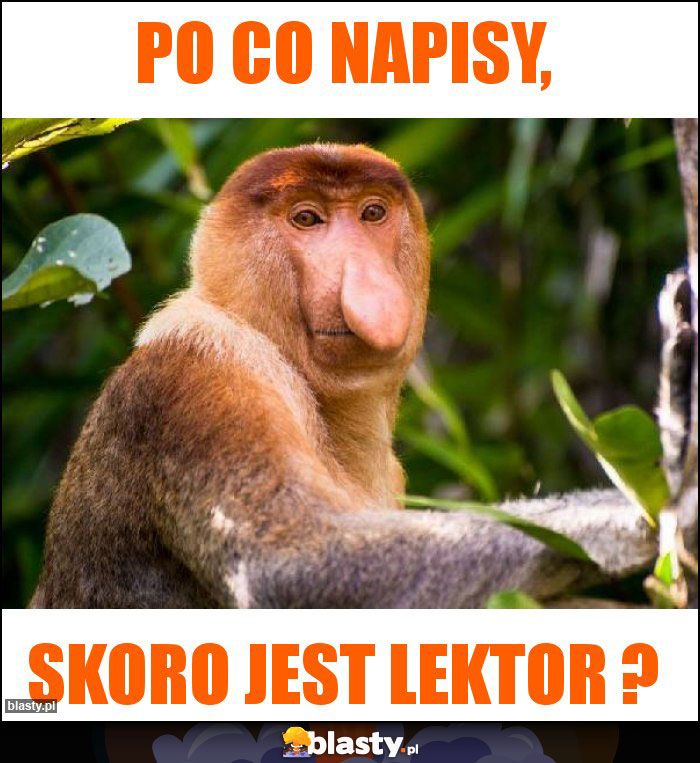 Po co napisy,