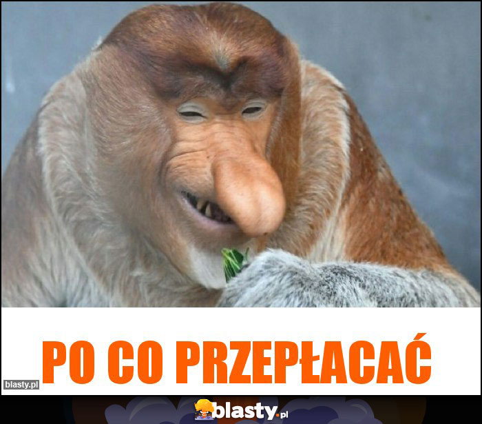 PO CO PRZEPŁACAĆ