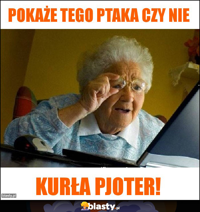 pokaże tego ptaka czy nie