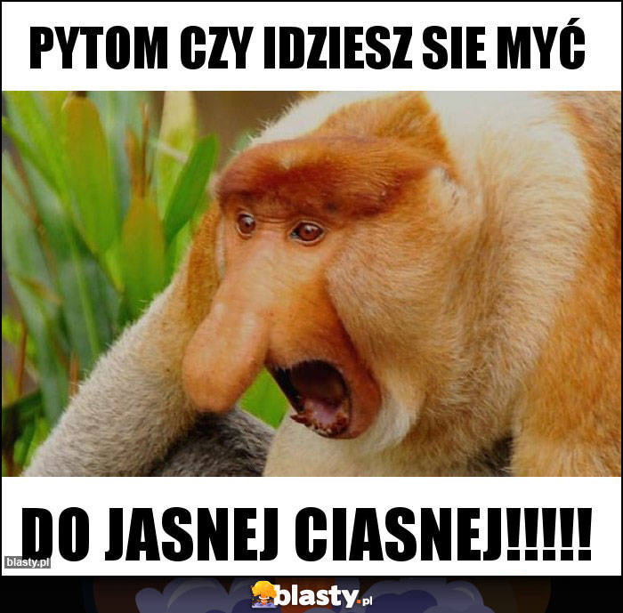 Pytom czy idziesz sie myć
