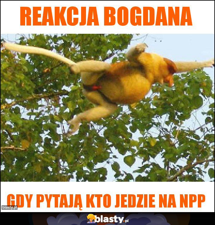Reakcja Bogdana