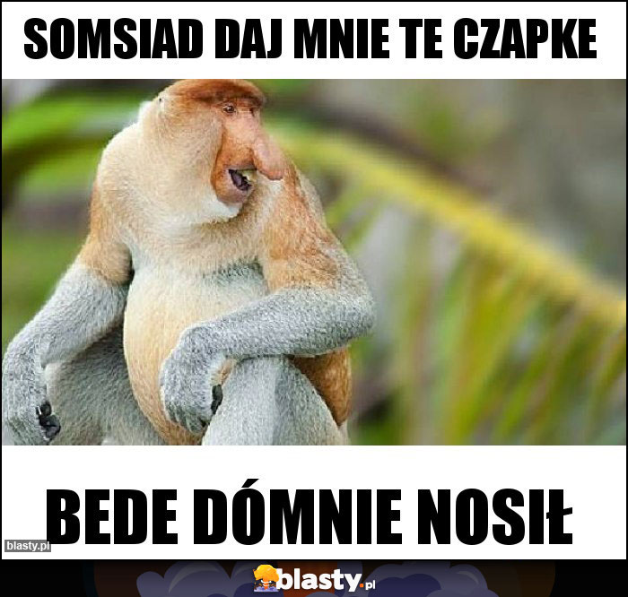 Somsiad daj mnie te czapke