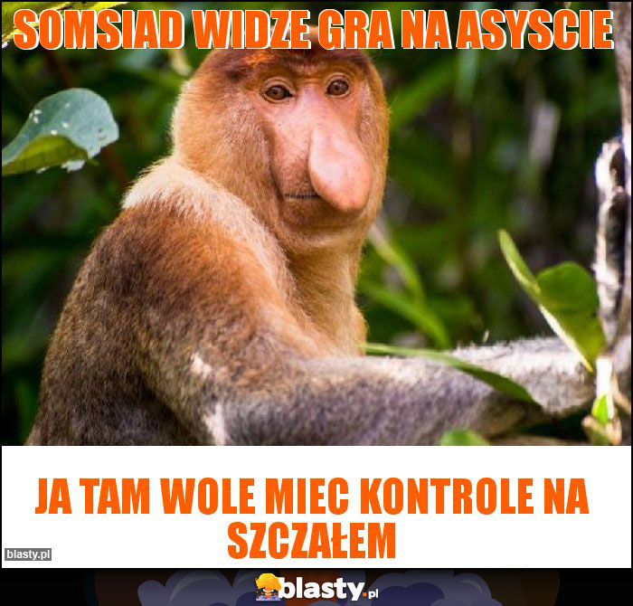 Somsiad widze gra na asyscie