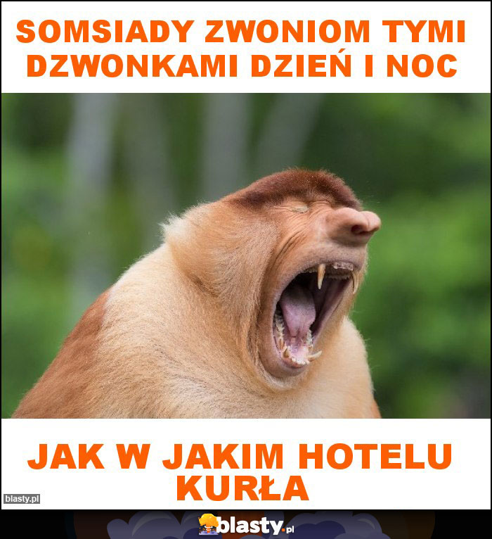 Somsiady zwoniom tymi dzwonkami dzień i noc