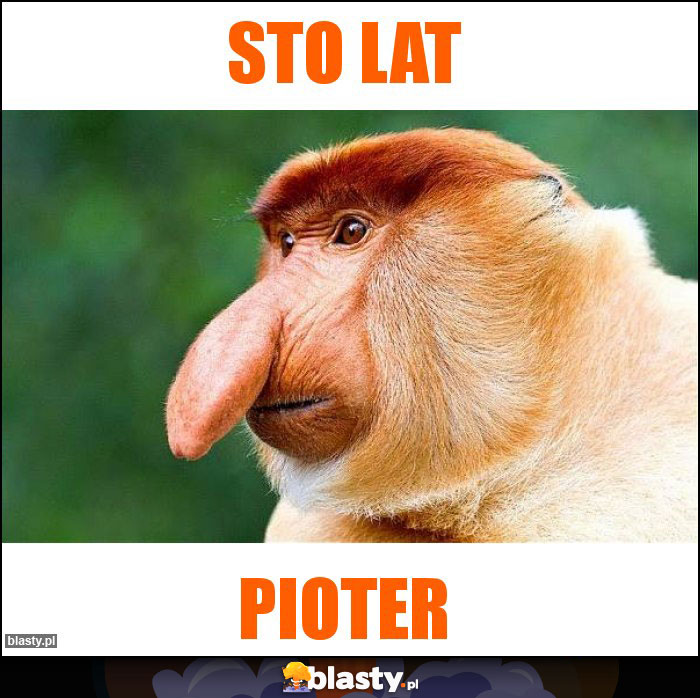 Sto lat