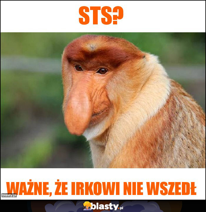 STS?