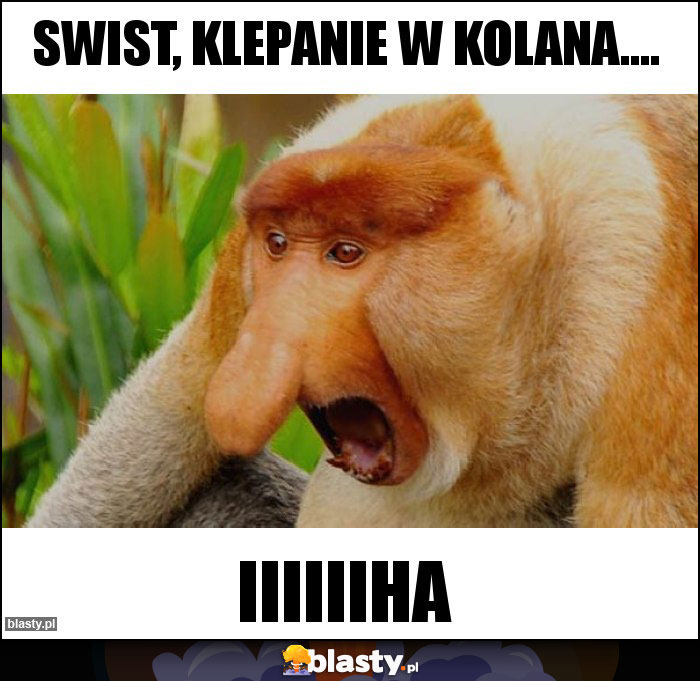 Swist, klepanie w kolana....